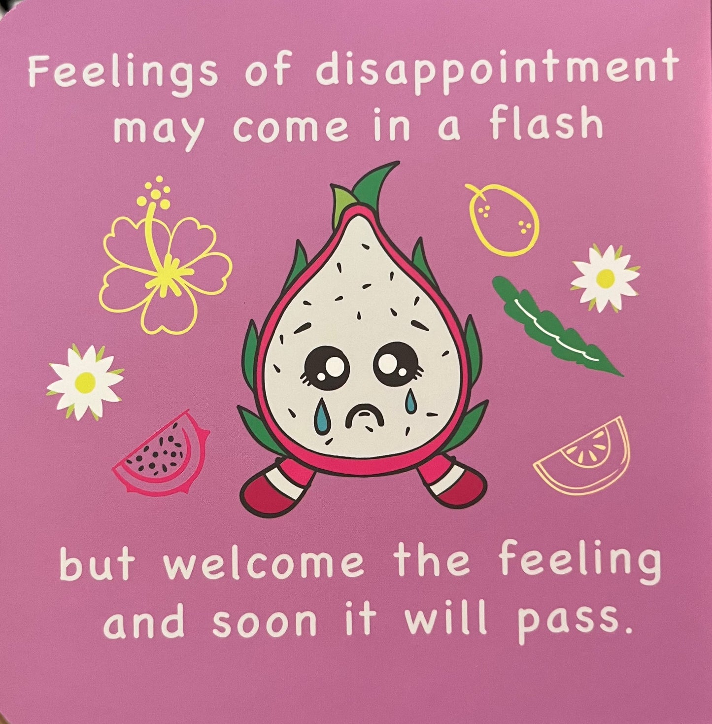 Disappointed Dragon Fruit Stuffed Animal & Book