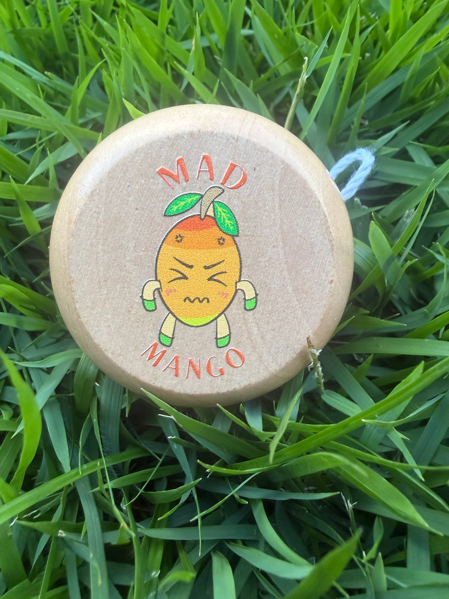 Emotion Rainbow Spins